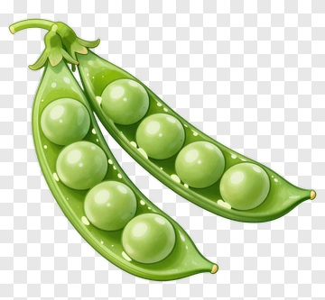 Green Peas In A Pod PNG