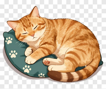 Sleeping Cat On A Cushion PNG