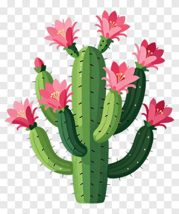 Colorful Cactus With Pink Flowers PNG