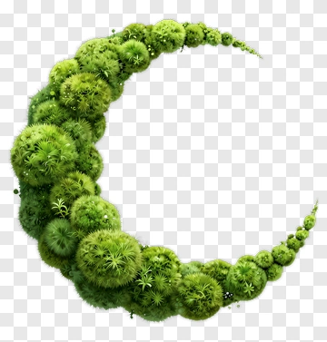 Green Moss Crescent Moon PNG