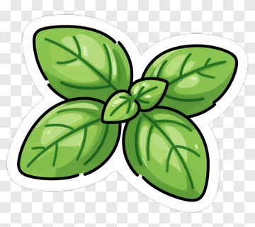Green Basil Leaves PNG