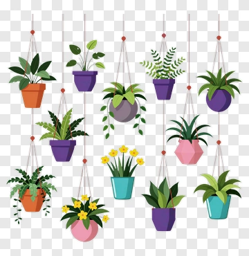 Colorful Hanging Plant Arrangement PNG