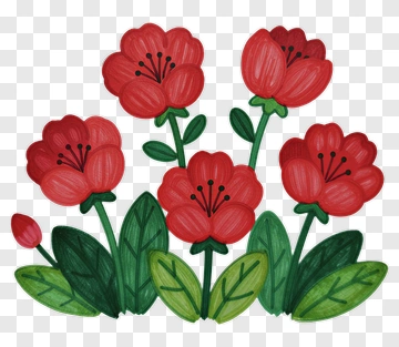 Colorful Floral Arrangement With Red Flowers PNG