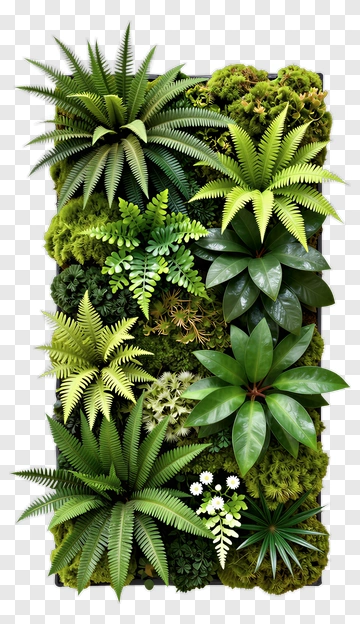 Lush Green Vertical Garden PNG