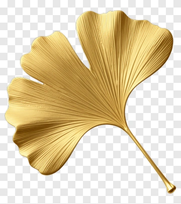 Golden Ginkgo Leaf PNG