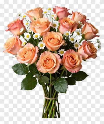 Bouquet Of Pink And Peach Roses With Daisies PNG
