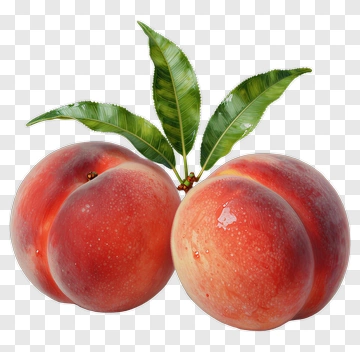 Fresh Peaches With Green Leaves PNG