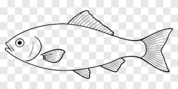 Illustration Of A Fish PNG