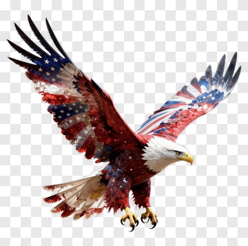 Eagle With American Flag Design PNG