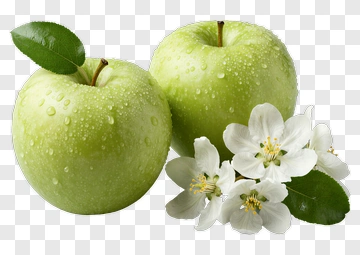 Green Apples With White Flowers PNG