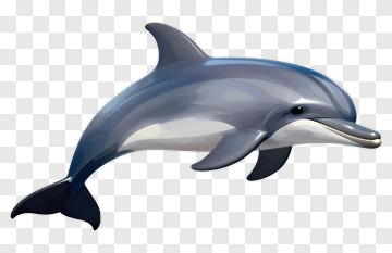 3D Dolphin Swimming PNG