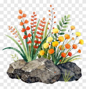 Watercolor Flower Arrangement With Rocks PNG