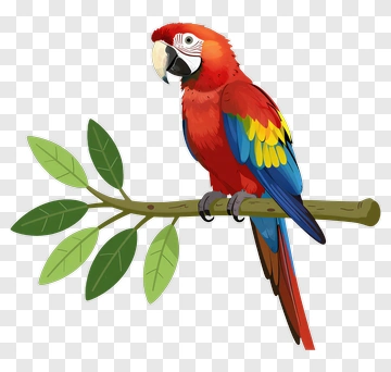 Colorful Parrot Perched On A Branch PNG