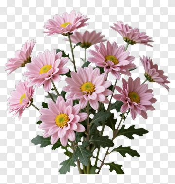 Pink Flower Bouquet PNG