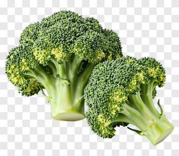 Fresh Broccoli Bunch PNG