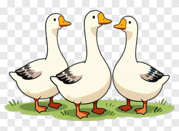 Cartoon Geese Standing Together PNG