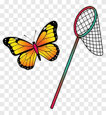 Colorful Butterfly And Net PNG