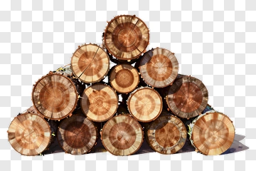Stack Of Wooden Logs PNG
