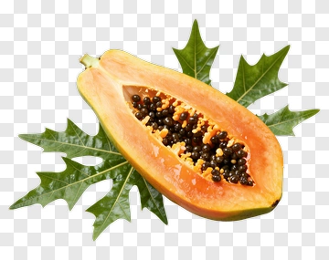 Papaya Fruit With Leaves PNG