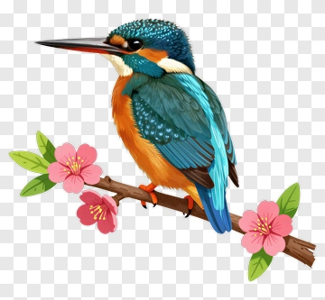 Colorful Kingfisher Sitting On A Blossom Branch PNG