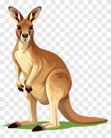 Cartoon Kangaroo Standing On Grass PNG