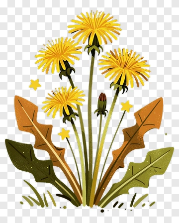 Colorful Dandelion Flowers PNG