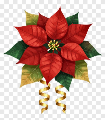 Poinsettia Flower Arrangement PNG