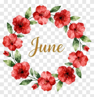 Floral Wreath With June Text PNG