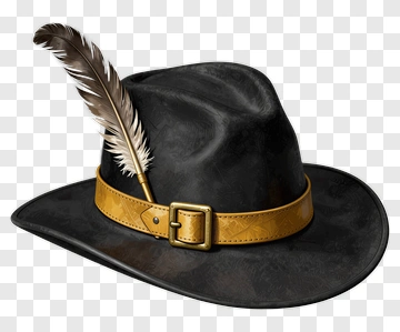 Black Cowboy Hat With Feather PNG
