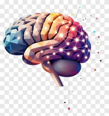 Colorful Brain With Neural Connections PNG