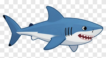 Cartoon Shark PNG