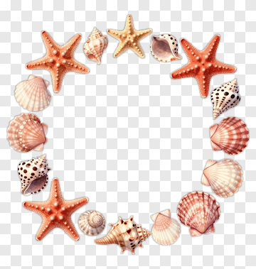 Colorful Shell Frame PNG