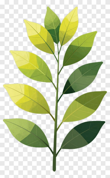 Colorful Leafy Branch PNG