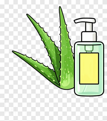 Aloe Vera Plant And Cosmetic Bottle PNG