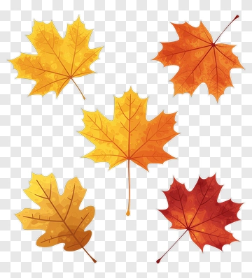 Colorful Autumn Leaves PNG