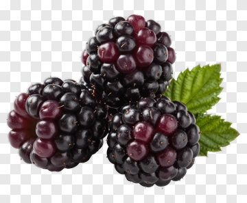 Fresh Blackberries With Leaves PNG