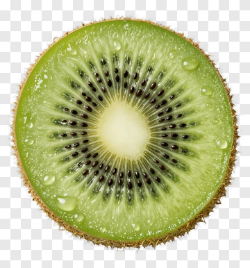 Fresh Kiwi Slice With Water Droplets PNG