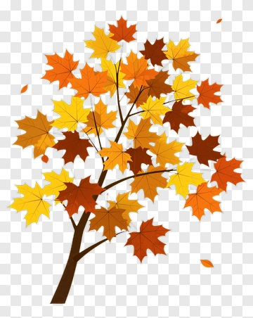 Colorful Tree With Autumn Leaves PNG