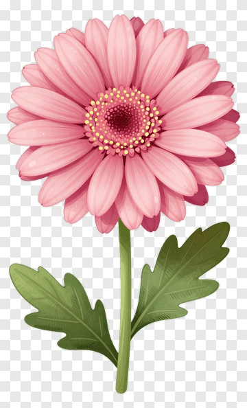 Pink Flower With Green Leaves PNG