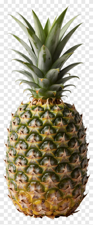 Pineapple PNG