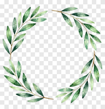 Watercolor Olive Leaf Wreath PNG