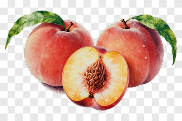 Peach With Leaf And Cross-Section PNG