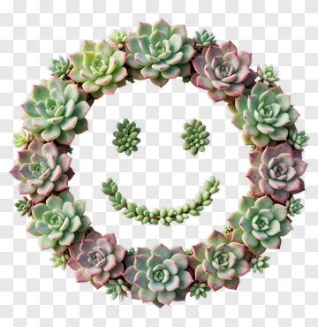 Succulent Smiley Face Wreath PNG