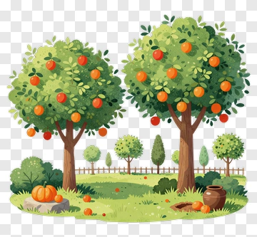 Fruitful Orchard With Orange Trees And Pumpkin PNG