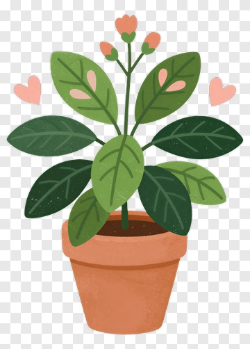 Colorful Potted Plant With Hearts PNG