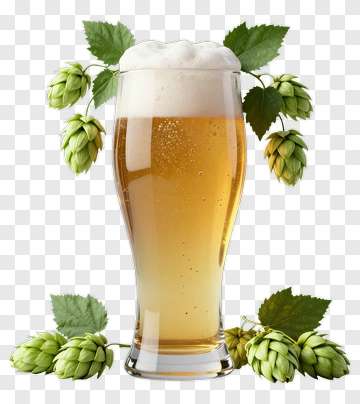 Glass Of Beer With Hop Flowers PNG