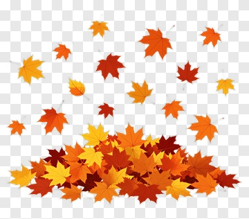 Colorful Autumn Leaves Pile PNG