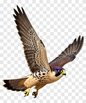 Cartoon Peregrine Falcon In Flight PNG