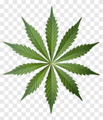 Cannabis Leaf PNG