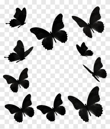 Black Butterflies In Various Positions PNG